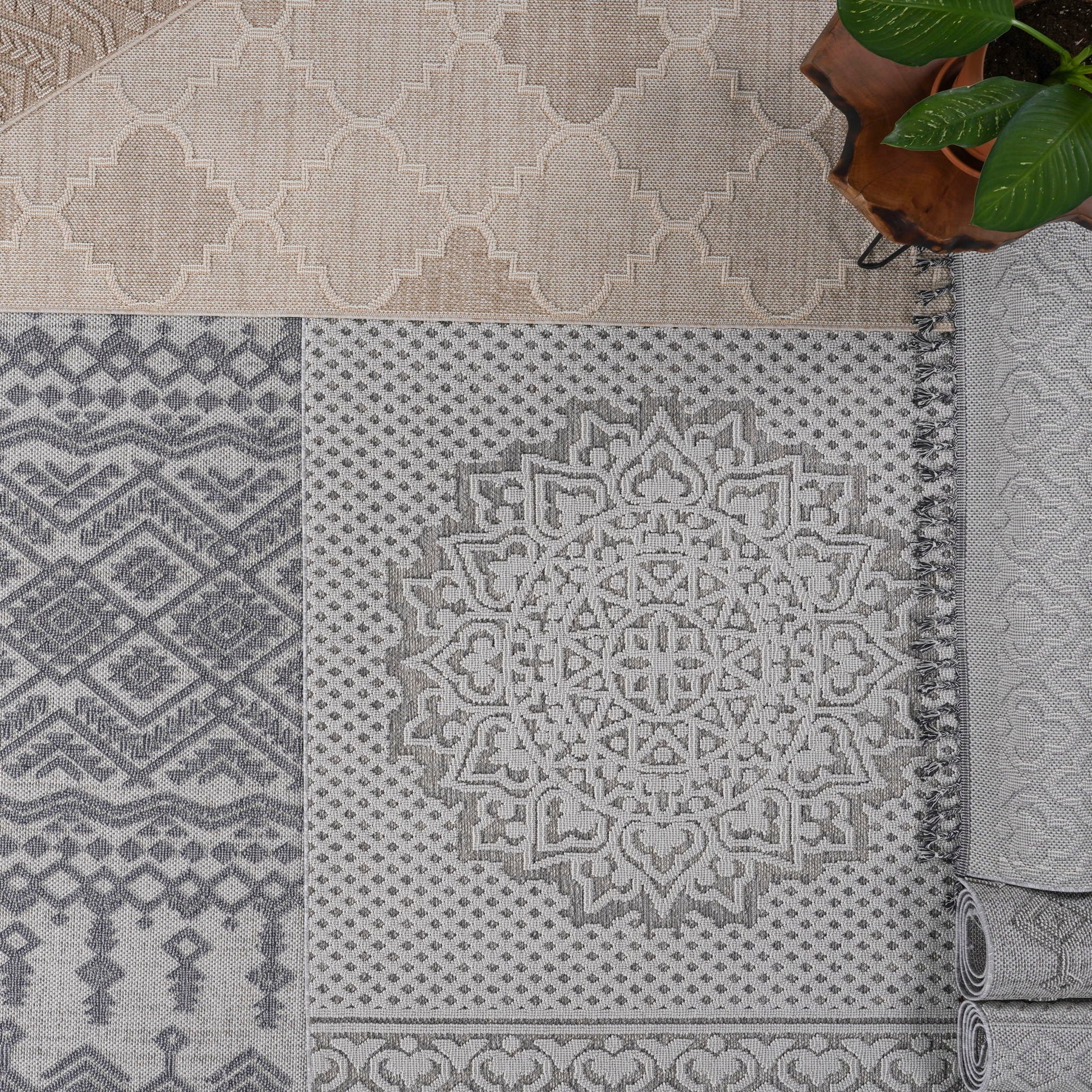 Patterned rugs with geometric and medallion designs on a neutral background.